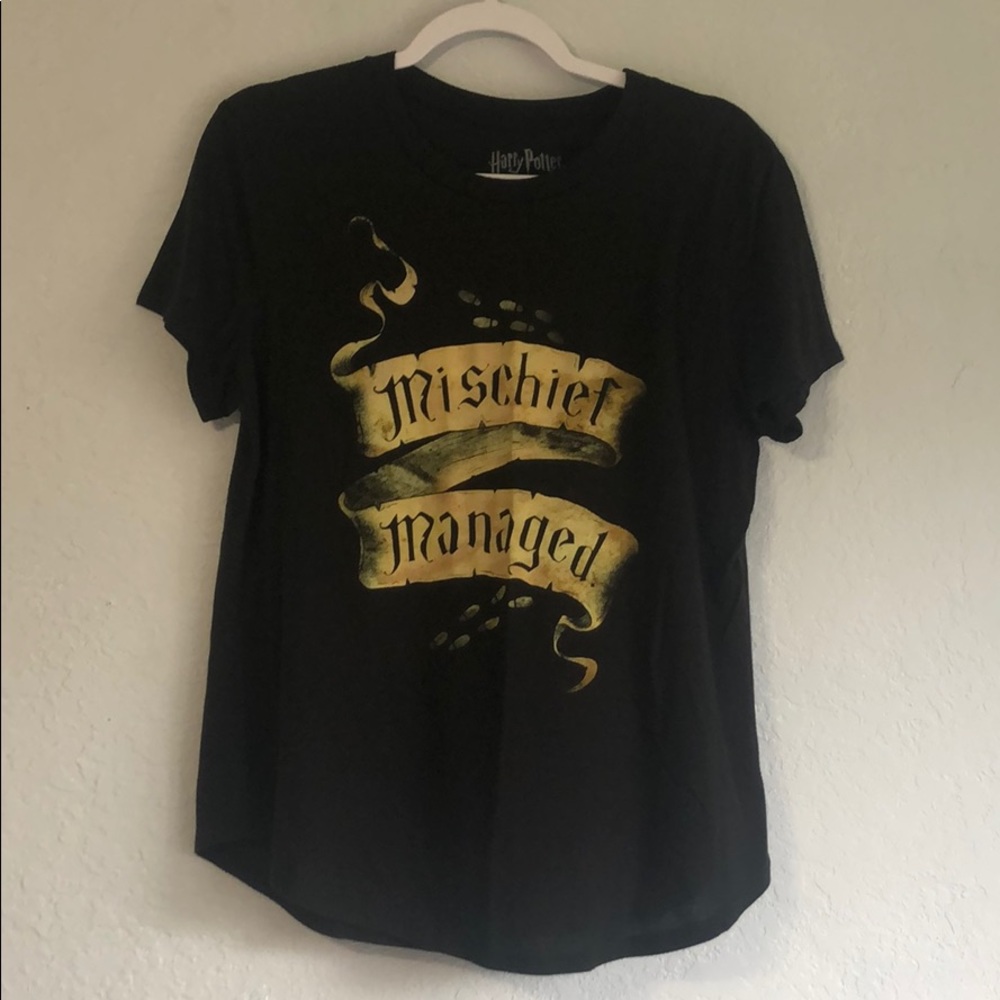 Harry Potter Wizard Basic Short Sleeve Tee Size 2X